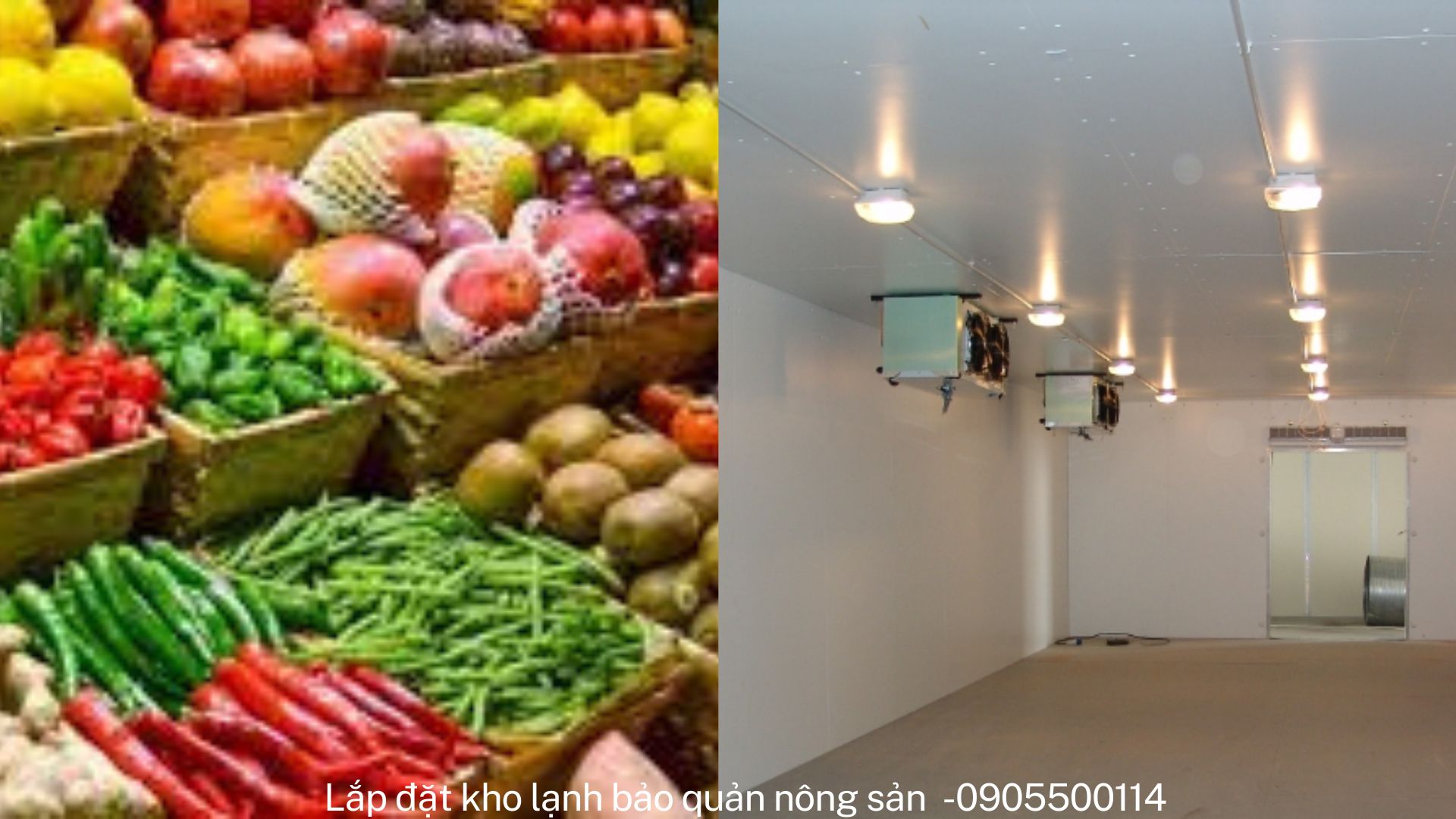 Lắp đặt kho lạnh bảo quản nông sản miền Tây.