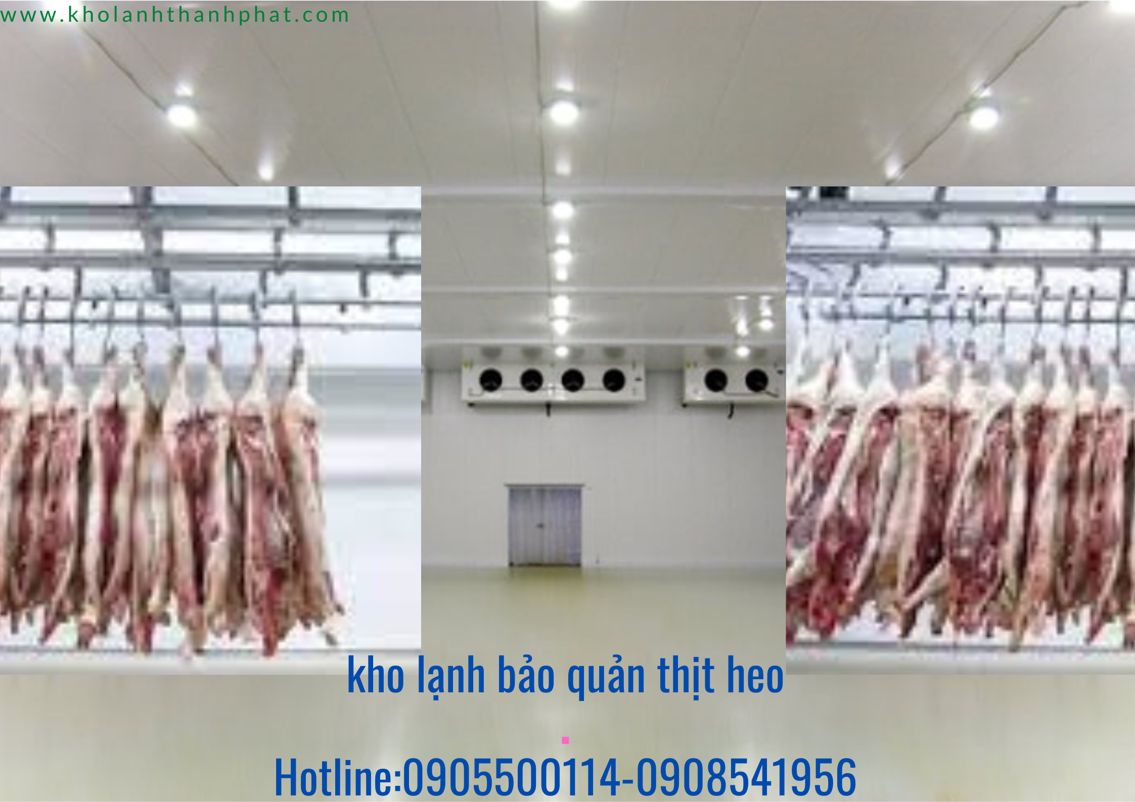 Kho lạnh baỏ quản thịt heo.