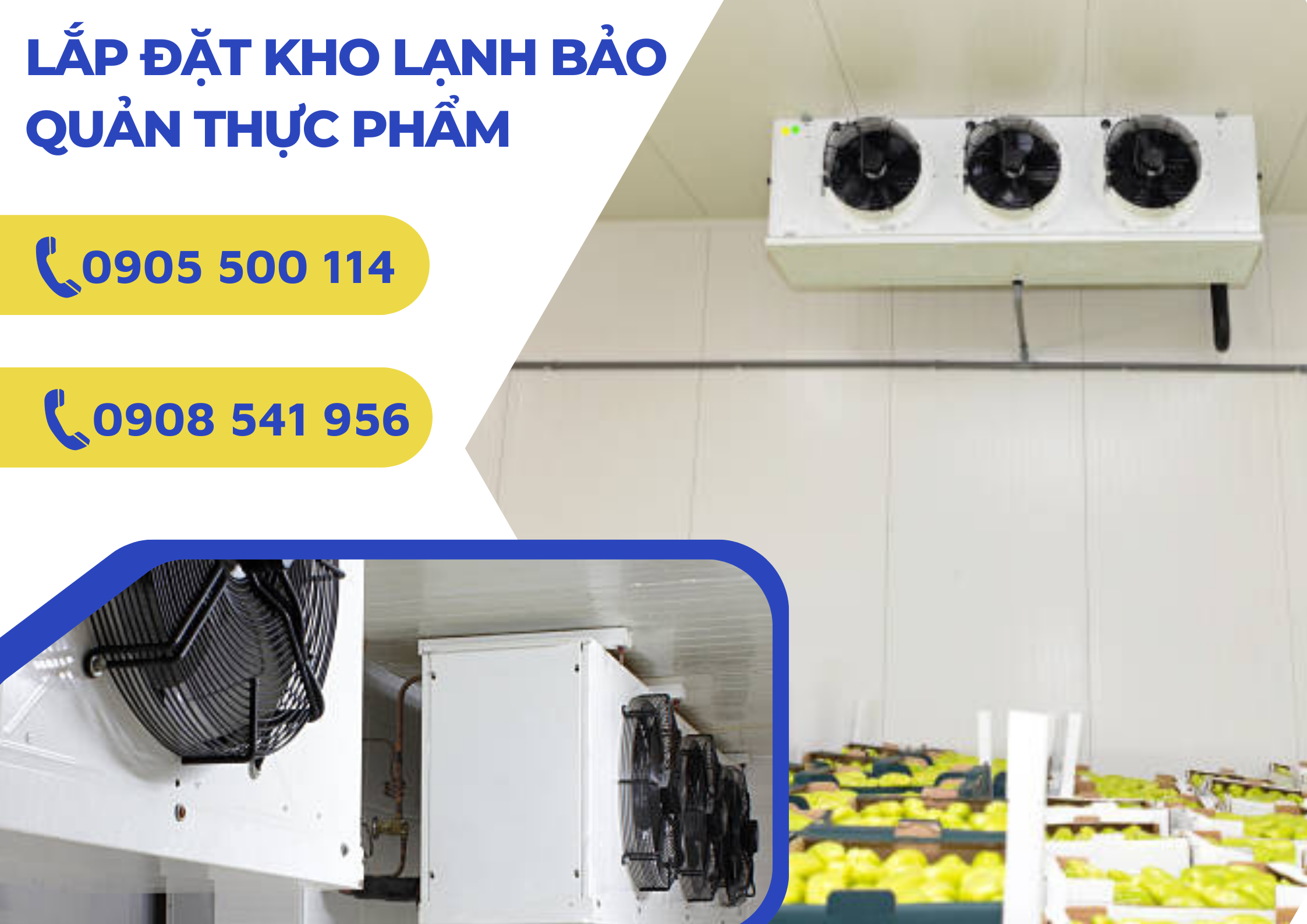 Dịch vụ lắp đặt kho lạnh bảo quản trái cây của Điện Lạnh Thành Phát.