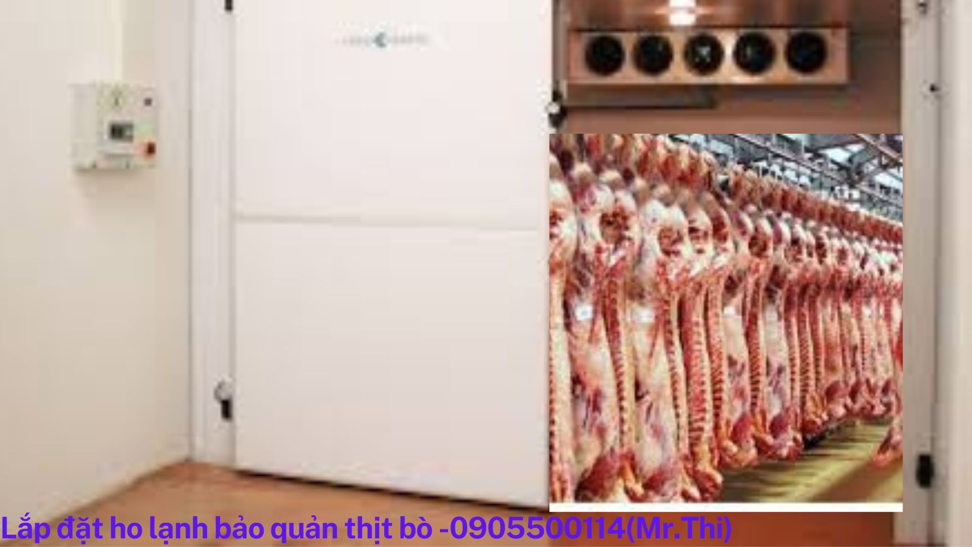 Lắp đặt kho đông lạnh bảo quản thịt bò .