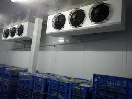 Kho Lạnh Nhiệt Độ Thấp