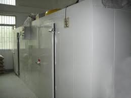 [Kho Lạnh] - Kho Lạnh Bảo Quản Rau Củ Quả.