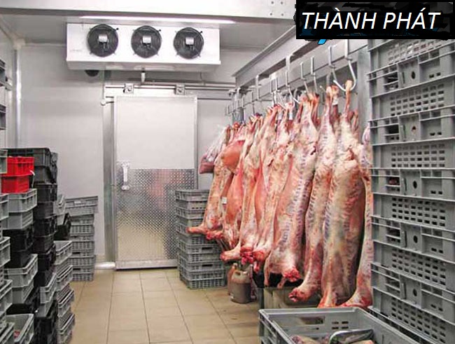 THI CÔNG KHO LẠNH THỊT BÒ NHẬP KHẨU QUẬN 2