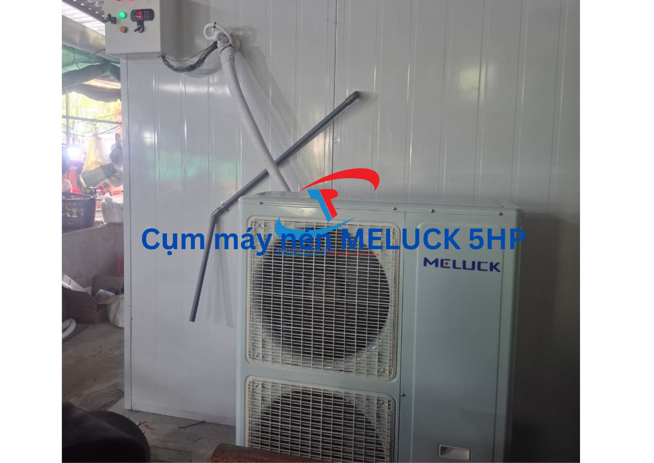  Thiết Kế Lắp Đặt Kho Lạnh Bảo Quản Bao Tử Cá Tại Cần Thơ.