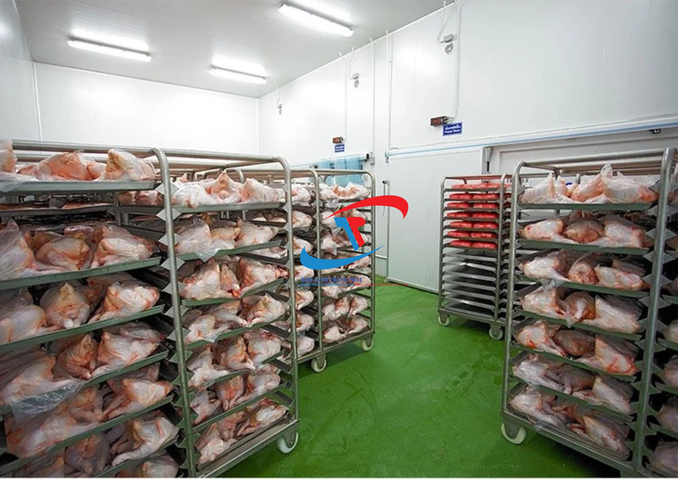 Lắp Đặt Kho Lạnh Bảo Quản Thịt Gà Chất Lượng 2025.