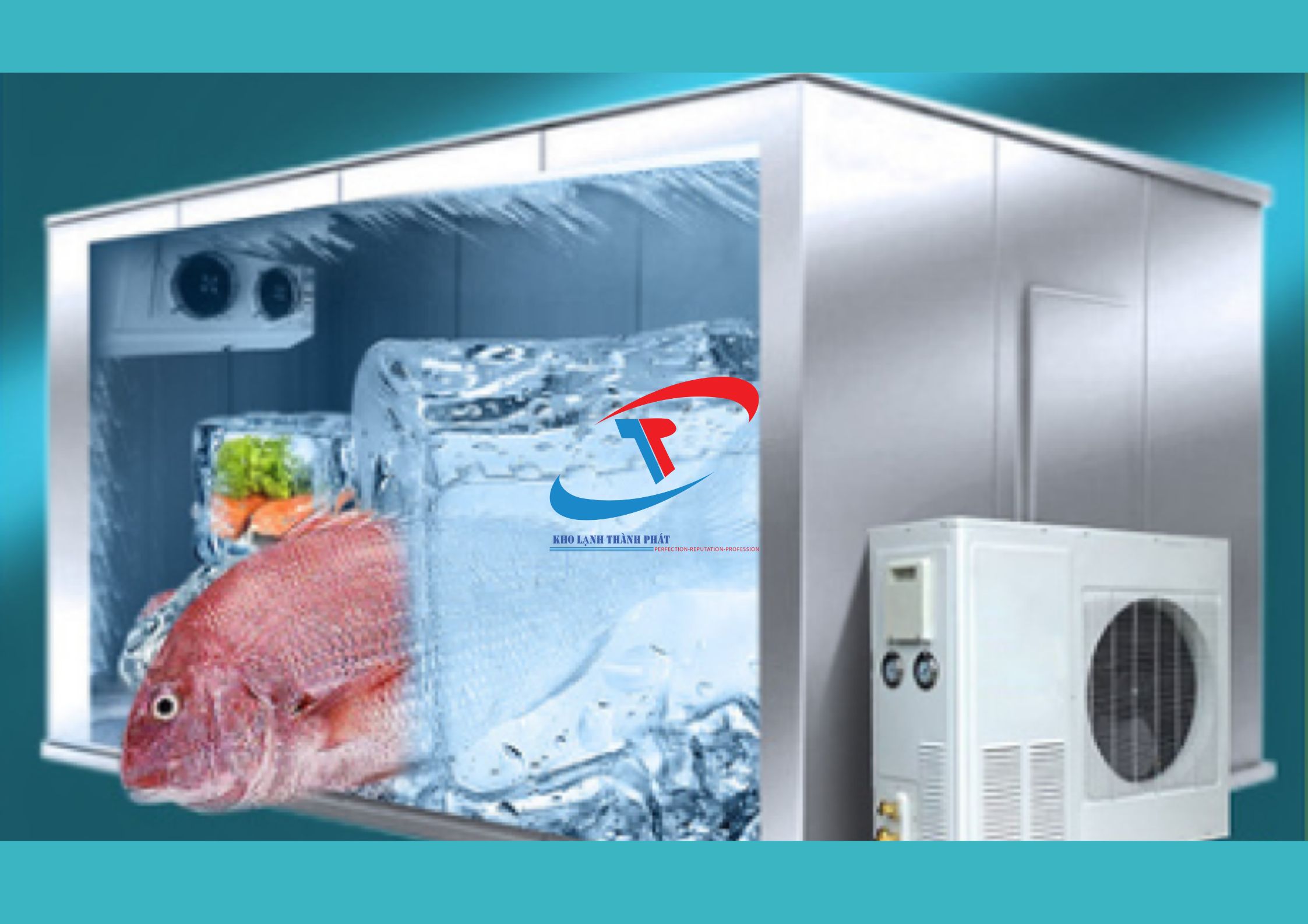 Kho Đông Lạnh Là Gì? Lắp Đặt Kho Lạnh Và Phòng Sạch.