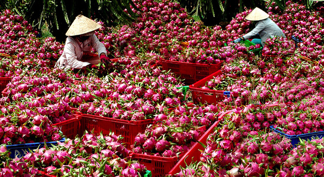 Công ty tnhh sản xuất thương mại điện lạnh Thành Phát chuyên thiết kế, lắp ráp, thi công kho lạnh, máy làm đá cây, hệ thống tủ đông, tủ mát, công nghiệp, giá rẻ.