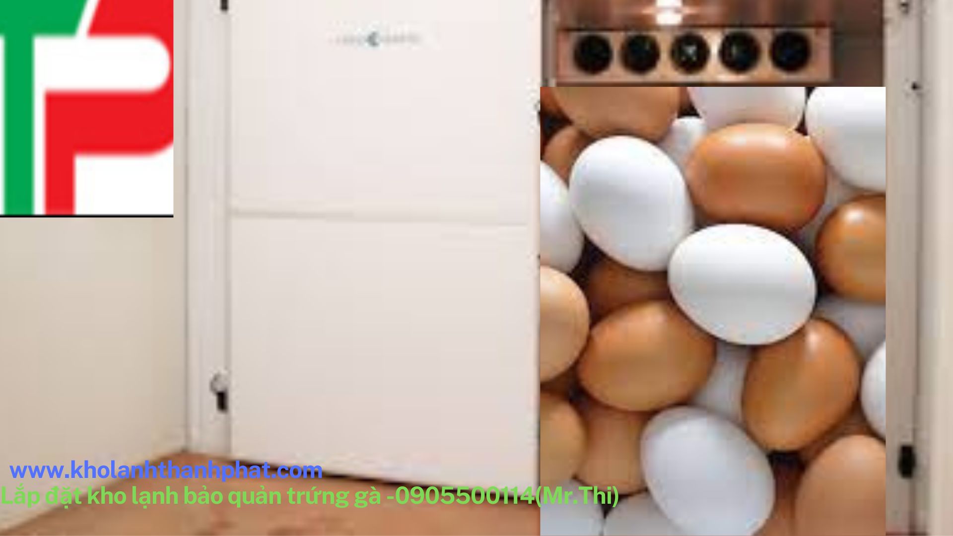  Lắp đặt kho lạnh bảo quản trứng gà.